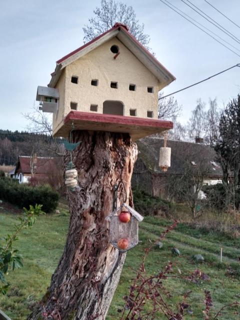 Pension Novy Den Albrechtice  Buitenkant foto
