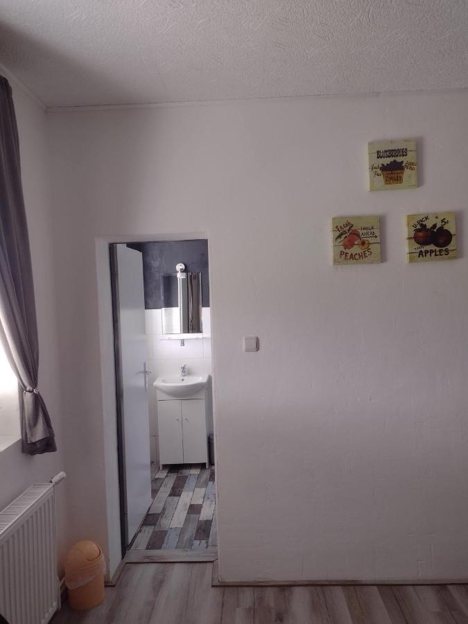 Pension Novy Den Albrechtice  Buitenkant foto