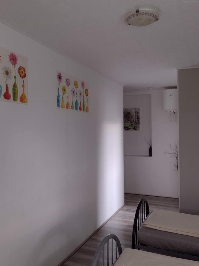 Pension Novy Den Albrechtice  Buitenkant foto