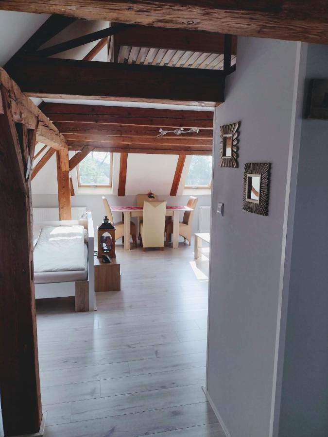 Pension Novy Den Albrechtice  Buitenkant foto