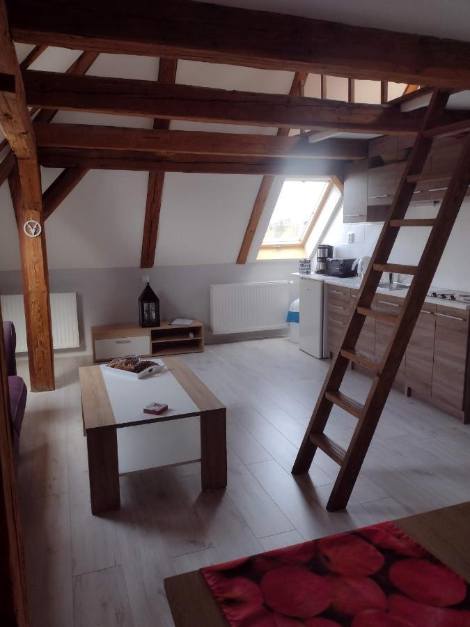 Pension Novy Den Albrechtice  Buitenkant foto