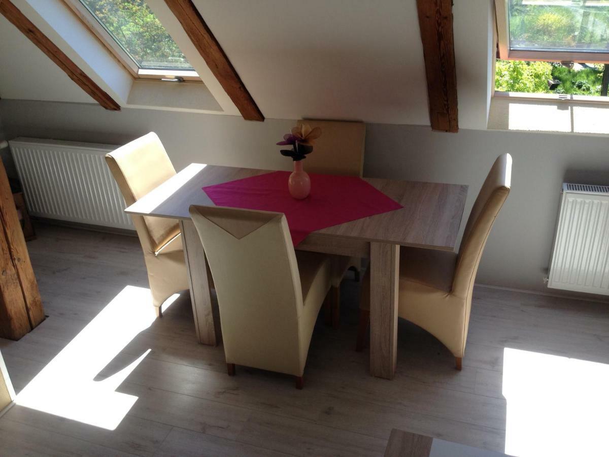 Pension Novy Den Albrechtice  Buitenkant foto