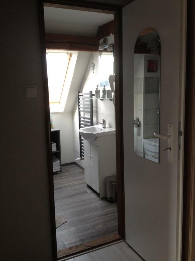 Pension Novy Den Albrechtice  Buitenkant foto