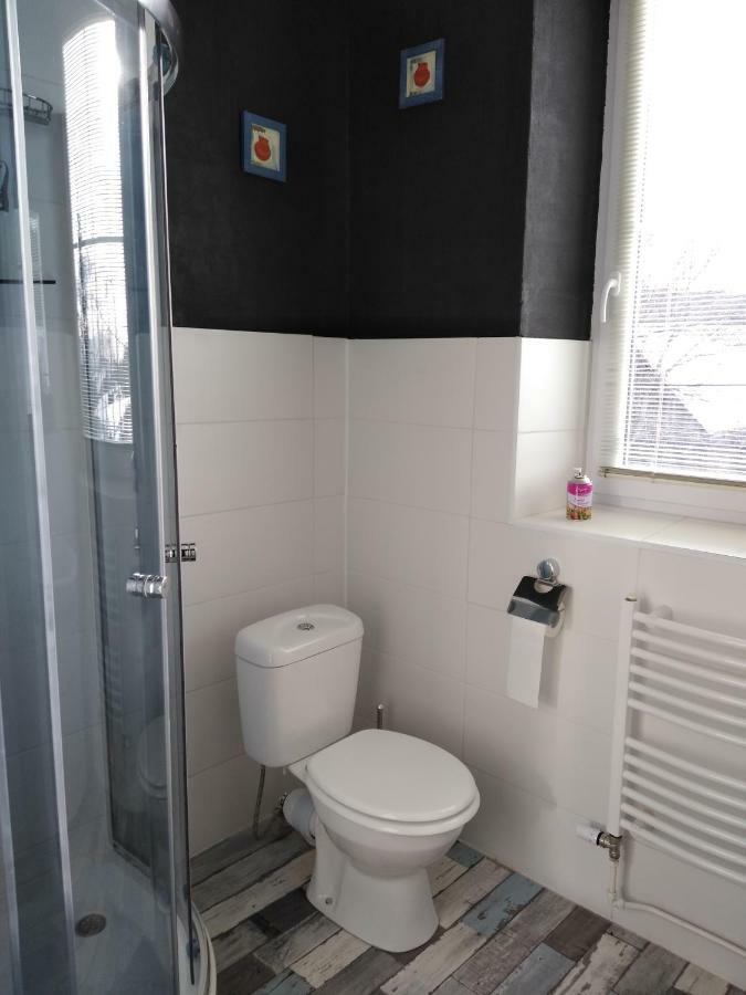 Pension Novy Den Albrechtice  Buitenkant foto